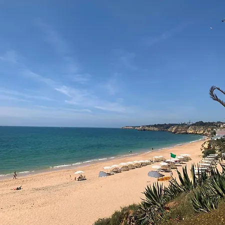 Invicta Apartament *